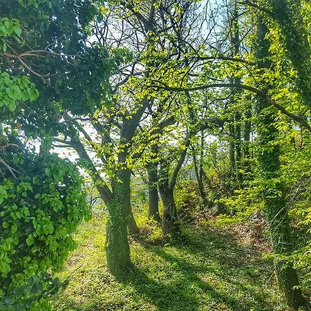 Βίλα Tessera With A Private Pool *