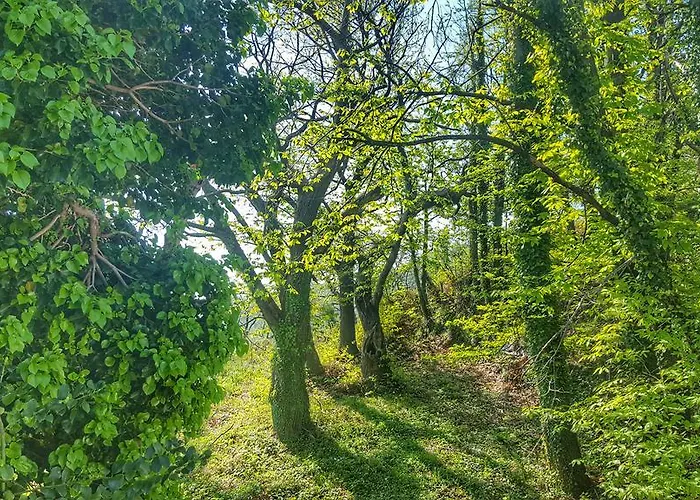 Villa Tessera With A Private Pool *